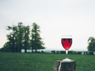 selective focus photography of wine glass on tree trunk
